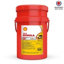 SHELL RIMULA R2 50 20L