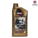 YAMALUBE FULL SINTETICO 10W40 MA2
